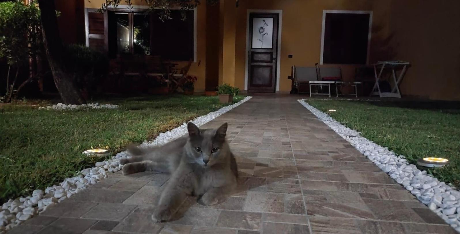 Casa Vacanze Shardana Iglesias Zewnętrze zdjęcie
